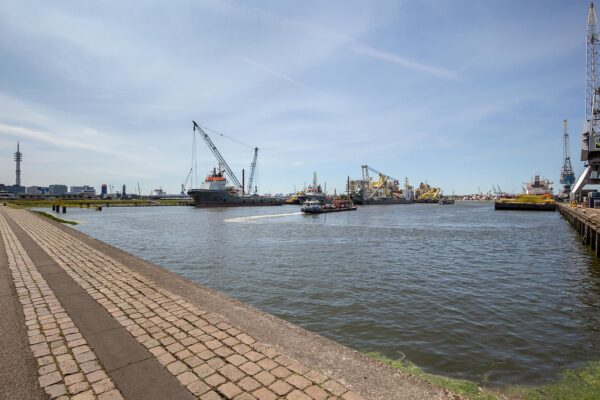 Zicht op de Waalhaven Oostzijde in Rotterdam met verschillende aangemeerde zeeschepen en kranen onder een heldere blauwe lucht.
